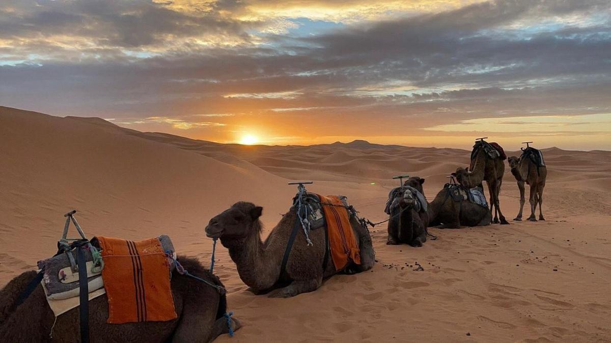 Chegaga Desert Trips محاميد الغزلان المظهر الخارجي الصورة
